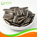 chinese hulled sunflower seeds